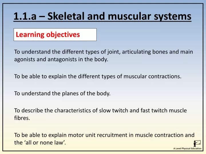 1 1 a skeletal and muscular systems