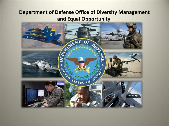 department of defense office of diversity