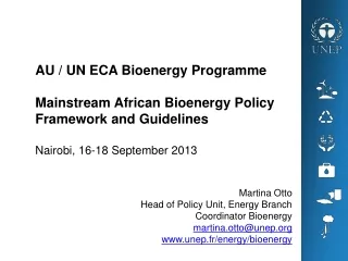 Martina Otto Head of Policy Unit, Energy Branch  Coordinator Bioenergy martina.otto@unep