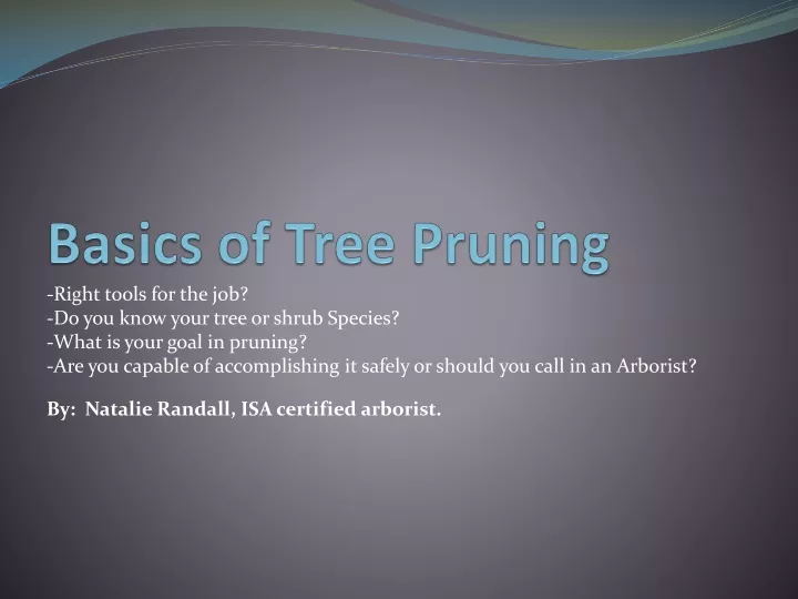 basics of tree pruning