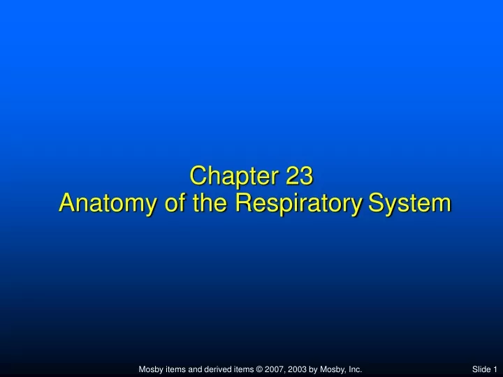 chapter 23 anatomy of the respiratory system