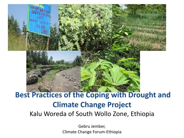 best practices of the coping with drought