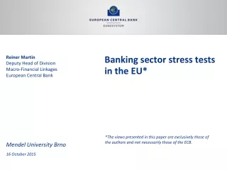 Banking sector stress tests in the EU*