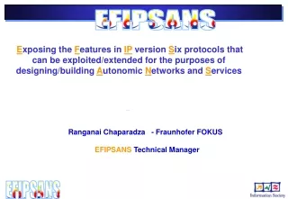 Ranganai Chaparadza   - Fraunhofer FOKUS EFIPSANS  Technical Manager