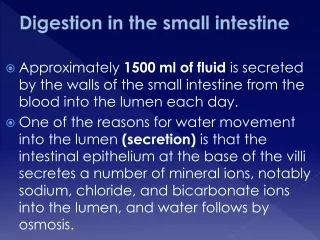 Digestion in the small intestine