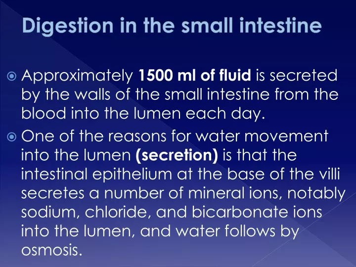digestion in the small intestine