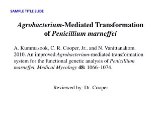 Agrobacterium -Mediated Transformation of  Penicillium marneffei