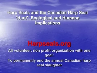 Harp Seals and the Canadian Harp Seal ‘Hunt’: Ecological and Humane Implications