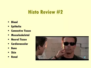 Histo Review #2