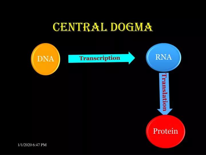 central dogma
