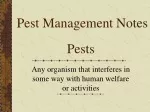 Pests