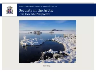 Security  in  the Arctic - the Icelandic Perspective