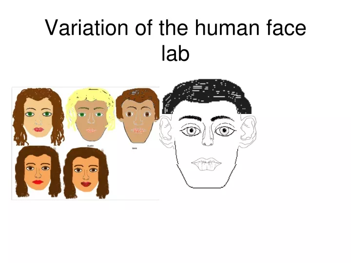 variation of the human face lab