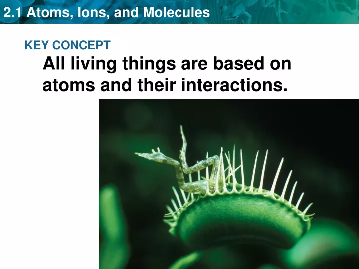 key concept all living things are based on atoms