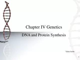 Chapter IV Genetics