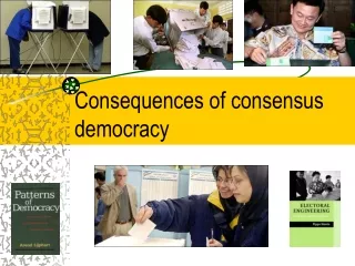 Consequences of consensus democracy