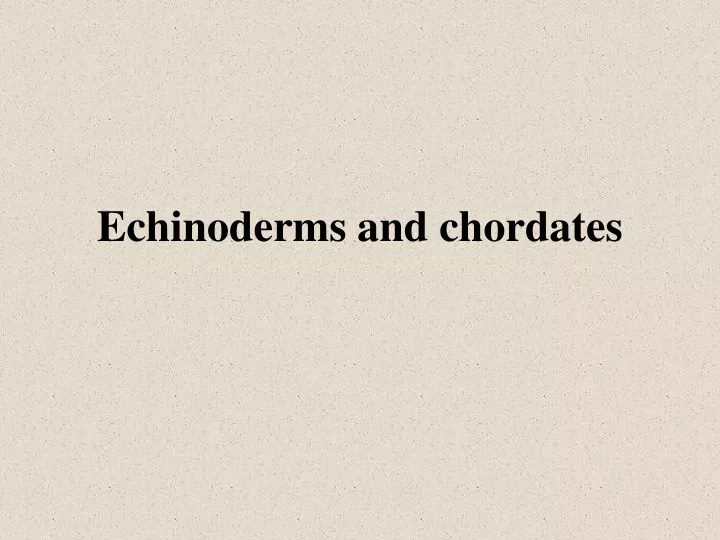 echinoderms and chordates