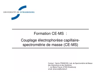 Formation CE-MS  : Couplage électrophorèse capillaire- spectrométrie de masse (CE-MS)