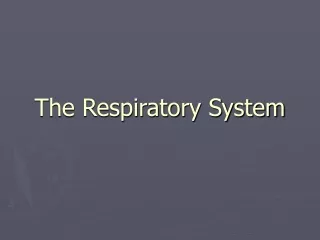 The Respiratory System