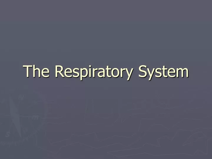 the respiratory system