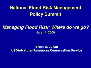 National Flood Risk Management Policy Summit Managing Flood Risk: Where do we go? July 14, 2009