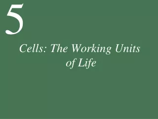 Cells: The Working Units  of Life