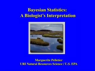 Bayesian Statistics:  A Biologist’s Interpretation
