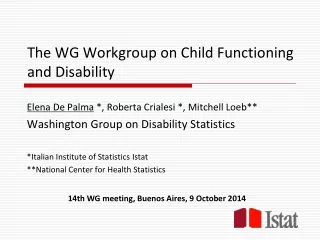 The WG Workgroup on Child Functioning and Disability
