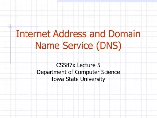 Internet Address and Domain Name Service (DNS) CS587x Lecture 5 Department of Computer Science