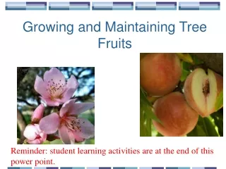 Growing and Maintaining Tree Fruits