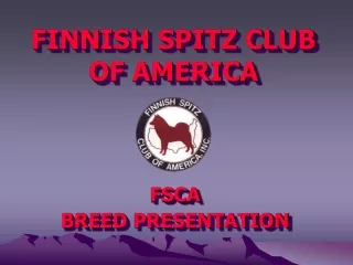 FINNISH SPITZ CLUB  OF AMERICA