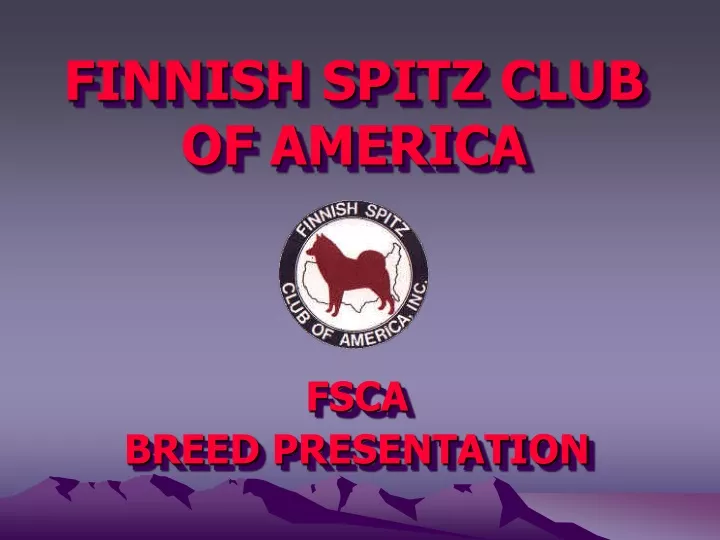 finnish spitz club of america