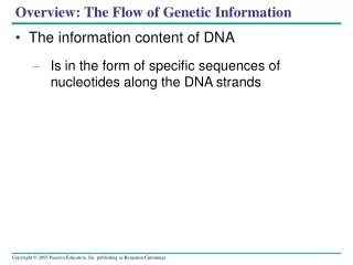 Overview: The Flow of Genetic Information