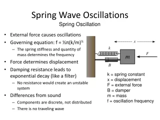 Spring Wave Oscillations
