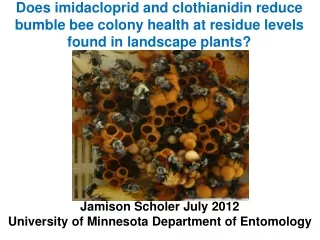 Jamison Scholer July 2012 University of Minnesota Department of Entomology