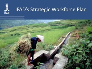IFAD’s Strategic Workforce Plan