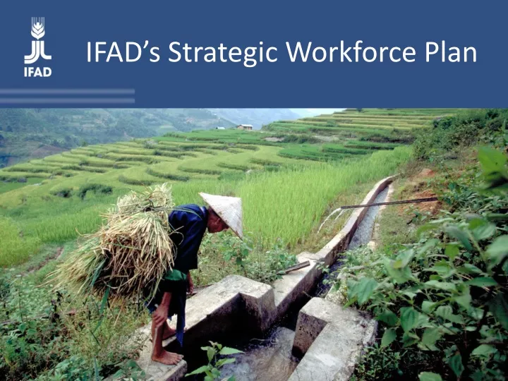 ifad s strategic workforce plan