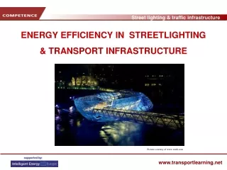 ENERGY EFFICIENCY IN  STREETLIGHTING  &amp; TRANSPORT INFRASTRUCTURE