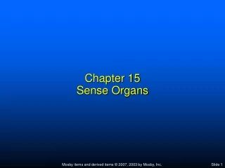 Chapter 15 Sense Organs