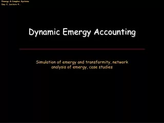 Dynamic Emergy Accounting