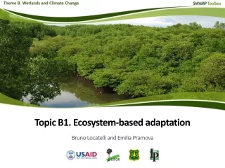 Ecosystem-based adaptation (EBA)