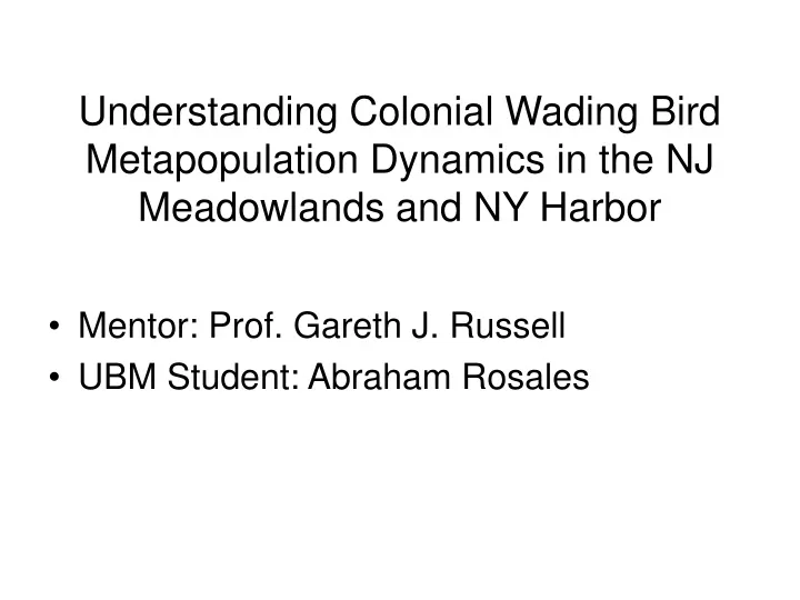 understanding colonial wading bird metapopulation dynamics in the nj meadowlands and ny harbor