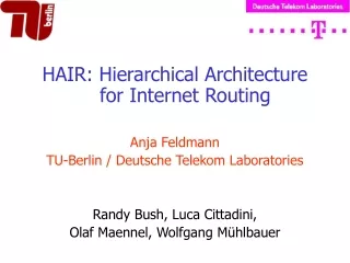 HAIR: Hierarchical Architecture for Internet Routing Anja Feldmann