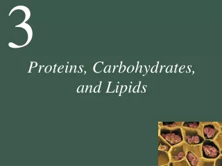 Proteins, Carbohydrates, and Lipids