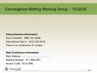 Convergence Bidding Working Group – 10/22/09