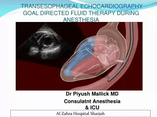 TRANSESOPHAGEAL ECHOCARDIOGRAPHY GOAL DIRECTED FLUID THERAPY DURING ANESTHESIA