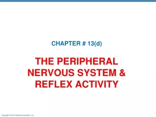 THE PERIPHERAL NERVOUS SYSTEM &amp; REFLEX ACTIVITY
