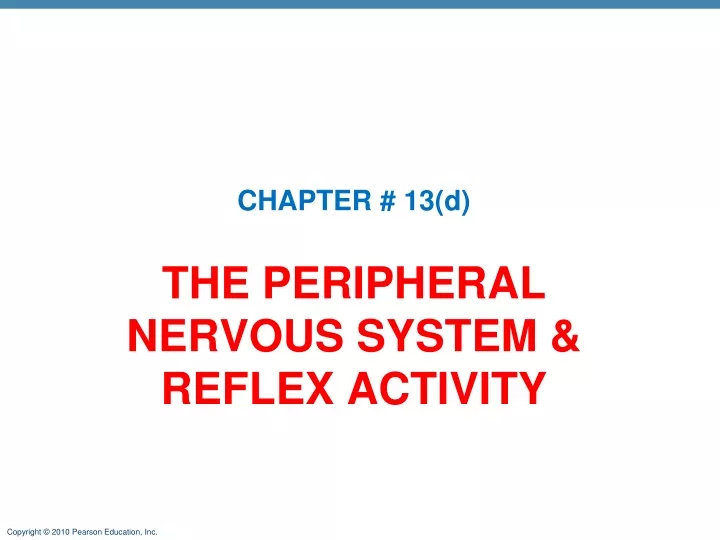 the peripheral nervous system reflex activity