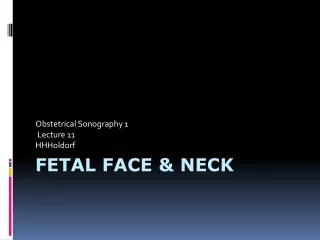 Fetal Face &amp; Neck