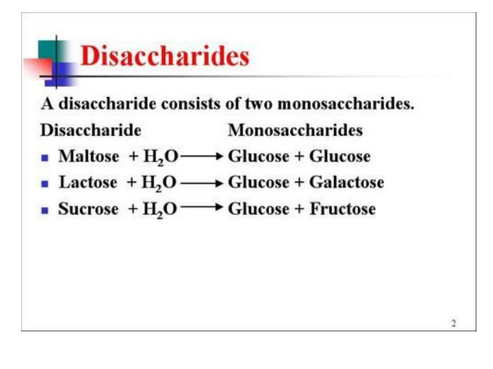 disaccharides